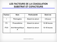 Physiologie de l'hémostase, coagulation