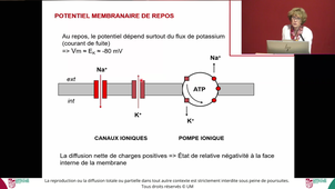 ECUE PHG - PR MULLER - 06-11-2024