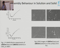 LABEX CheMiSyst Summer School - Presentation Flash - Zhanhu SUN