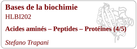 HLBI202_AA_Pept_Prot_4 (pour Série 7)