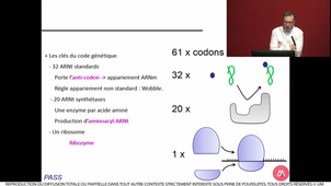 S1UE2_ECUE2.1_Cornillot_2_27102021_20211027-100708_S1R1.m4v