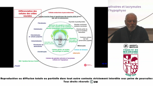 UE9-cuisinier_26022026