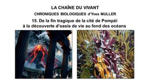 15. La Chaîne du Vivant - Chroniques Biologiques d’Yves Muller - De la fin tragique de la cité de Pompéi à la découverte d’oasis de vie au fond des océans