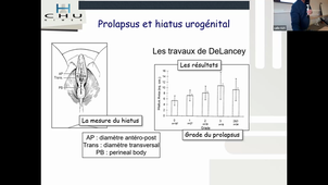 Périnée et traumatisme obstétrical point de vue chirurgical - Pr DE TAYRAC