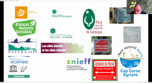 introduction à l'écologie_2_ qui fait quoi dans la protection de la nature en France? une introduction