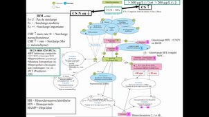 DFASM2 MIF Pathologie du fer chez l'adulte	BERTCHANSKY I.	TD309