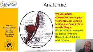 EPI Psoas iliaca