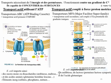 HLBE512 Cours Bacterio CM3 part 1 Mardi  29 sept 2020