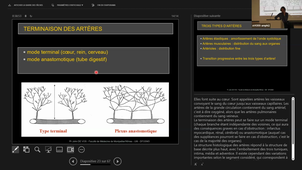 06-09-24-DFGSM3-UE appareil cardio-M De Vos-CM6 7 8.mp4