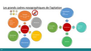 Gestion des risques en psychiatrie.mp4