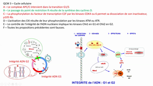 (10/11/2020) 10h ED8 UE3 208 GATINOIS
