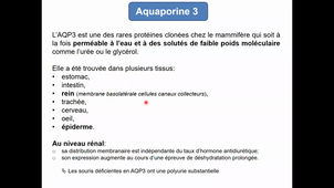 HLBI406_Transferts membranaires_CM3 diapo 76 à 105