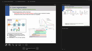 Master1 BIOTIN - Biology of Hepatocytes and Hepatocyte Stem Cells - Sabine Gerbal-Chaloin - 30/10/2025