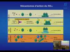 Master Biologie Santé – 20 octobre 2010 – Marcel Garcia -
