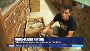 Le patrimoine scientifique de l'UM2