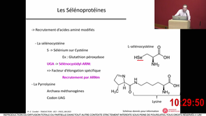 S1UE2_Cornillot_2_06112023