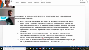 Cours du 9 février 2021 (taille des animaux)