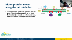 TU 03 Cytoskeleton - Cell Mobility - Dian Eurike Septyaningtrias, S.Ked, M.Sc Ph.D - UGM 25-11-25.mp4
