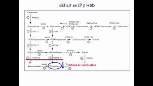 31-03-23-UE libre maladies héréditaires-S Lumbroso.mp4