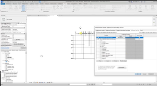 02. Import DWG et profondeur de vue.mp4
