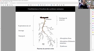 Vidéo Cours COQ Ecologie fonctionnelle 2021 - Partie 2