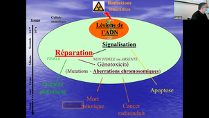DFASM1 MIB 08/02/2021	10:00	12:00	La décision thérapeutique pluridisciplinaire et l'information du malade Traitement des cancers : Oncologie Radiothérapie	D. AZRIA	salle 301 ZOOM à lancer dans la salle cours en présentiel