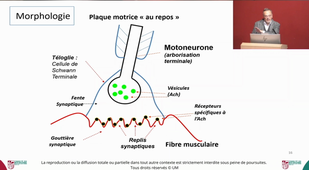 ECUE_PHG-Pr.HAYOT_13/11/2024