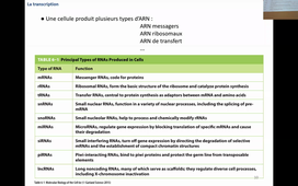 Cours du 06102020 - Transcription 1