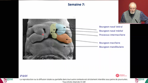 S2 UE9 - Pr.Cuisinier - 11/02/2025