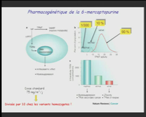 Place de la pharmacogénétique et pharmacocinétique