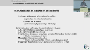 PASS UE9 - Collart-Dutilleul -  04/03/2026
