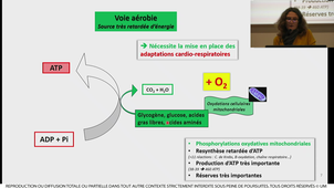 S2_ECUE4B_passerieux_20220216