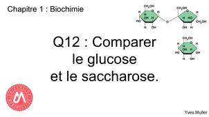 Chapitre 1 – Biochimie Q12 : Comparer le glucose et le saccharose