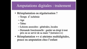 DFASM1 MIC 02/12/2020 Plaies de la main, bilan lésionel, panaris et phlegmons des gaines digitales... Dr Rémi Carré