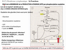 HLBE512 Cours Bacterio CM2 part 2 Mardi  22 sept 2020