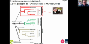 HLBE201-Chap7-cours 16