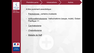 UE libre SSA (Service de Santé des Armées) -  UE optionnelle - Risque tropical - macro organismes - salle 211 - 12-11-2020