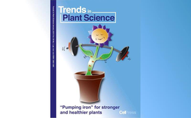 Iron nutrition, biomass production and plant product quality