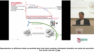 UE3_Carillo_20260925-065843Z_S1R1.m4v