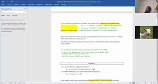 Biochimie revision TD acides nucleiques