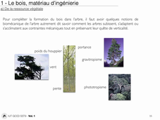 DUT GCCD C0 SST9 - Vidéo 3