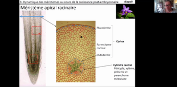 HLBE201-cours5-chap2