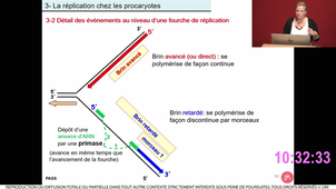 S1_UE2_ECUE2.1_Taulan_1_26102023