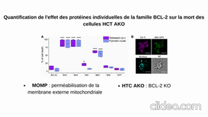 Article Cell Death 4