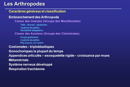 Partie 4  : cycles annelides et arthropodes