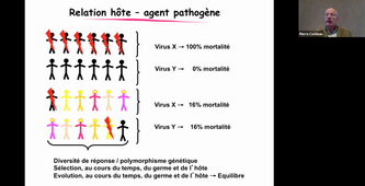 08-02-2021- DFGSM2 Pierre Corbeau CM 1 et 2 TS Immuno
