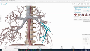 DFGSM3 - CM 4.2a Anatomie - Appareil respiratoire - Pr Guillaume CAPTIER - 14092023.mp4