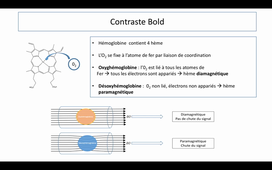 12-03-2019-2020-coget-imagerie-fonctionnelle-de-repos-duo-video