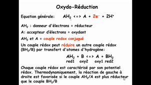 CM6 Bio Cell Bioenergétique