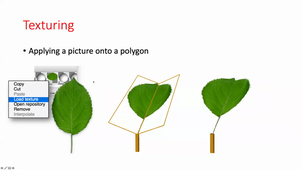 HBMA312 - Modelisation de l'architecture des fruitiers - Part 1